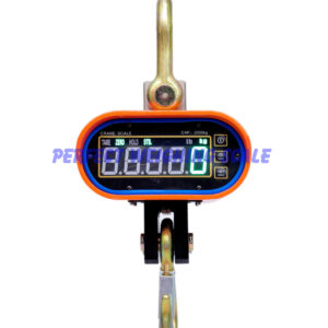 Crane Scale